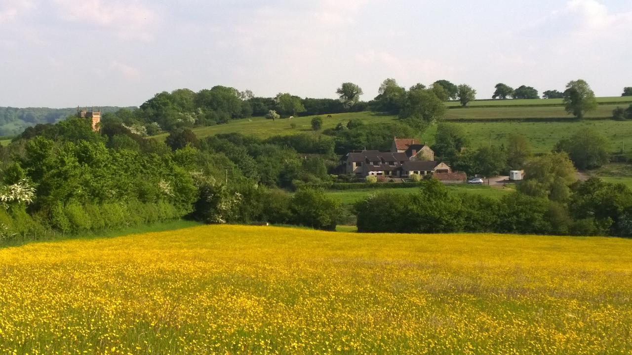 Cameley Lodge - Self Catering Temple Cloud Luaran gambar